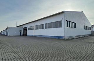 Gewerbeimmobilie kaufen in 06386 Micheln, Top Gewerbegrundstück mit Lager- & Bürogebäude!