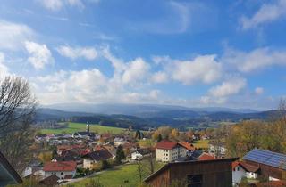 Wohnung mieten in 94255 Böbrach, schönes möbliertes Appartment mit EBK und Balkon