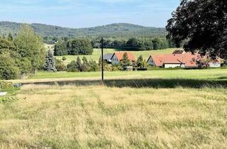 Grundstück zu kaufen in 01920 Steina, Herrliche Baufläche für 3 EFH in 01920 Steina