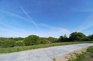 Grundstück zu kaufen in Bünsdorfer Weg, 23923 Schönberg, Großflächiges Grundstück (Parzelle 4) in Schönberg (ca. 20 km bis zur Ostsee)