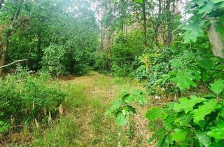 Anlageobjekt in 16244 Schorfheide, Naturparadies für Jäger, Erholungssuchende und Naturliebhaber