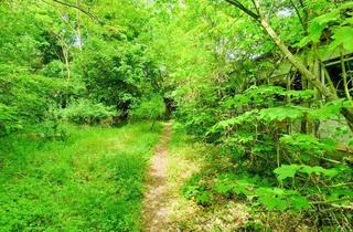 Anlageobjekt in 39539 Havelberg, Lost Places & Naturidyll, perfekte Lage für Ferienunterkünfte!