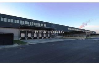 Büro zu mieten in 14974 Ludwigsfelde, Ludwigsfelde, ca. 19.800 m², Logistikneubau zzgl. ca. 200 m² Büro