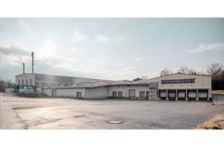 Gewerbeimmobilie mieten in Krautgartenstraße 36, 85241 Hebertshausen, reHEB / Lager- und Depotflächen / SOFORT verfügbar / Provisionsfrei / direkt vom Eigentümer