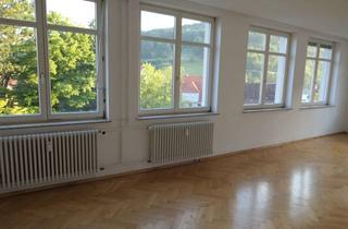 Lofts mieten in 72525 Münsingen, Helle 3 Zi-Loft-Wohnung, Münsingen, Teilort Buttenhausen
