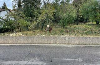 Grundstück zu kaufen in Wappensteinstraße, 66969 Lemberg, Traumhaftes Grundstück in Hanglage