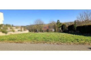 Grundstück zu kaufen in Rauchäcker Ring, 74889 Sinsheim, Baugrundstück in sonniger Aussichtslage, voll erschlossen, PROVISONSFREI !