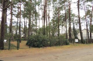 Grundstück zu kaufen in 14552 Michendorf, Baugrundstück mit vorhandenem Bungalow, Carport, Schuppen