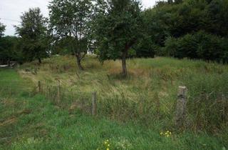 Grundstück zu kaufen in 86551 Aichach, Am Waldrand gelegenes Baugrundstück für Einfamilienhausbebauung