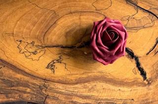 Gewerbeimmobilie kaufen in 95186 Höchstädt, Voll ausgestattete Schreinerei in Oberfranken sucht eine/n Schreinermeister/in als Nachfolger