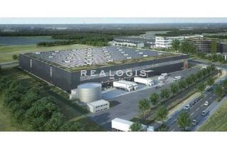 Gewerbeimmobilie mieten in 63811 Stockstadt, Lager- / Logistik- / Produktionsflächen - Neubau