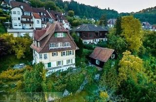 Wohnung kaufen in Schillerstraße 19, 75365 Calw, Exponierte Aussichtslage von Calw/Moderne Denkmalsanierung mit steuerlichen Vorteilen