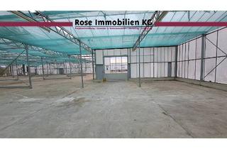Gewerbeimmobilie mieten in Borsigstr., 32369 Rahden, ROSE IMMOBILIEN KG: Kaltlager, Gewächshaus in Rahden zu vermieten!