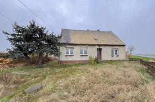 Haus kaufen in Eilenburger Str. 18, 04838 Laußig, Kernsanierung: EFH mit großem Grundstück und Scheune im OT Laußig-Pristäblich