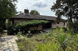 Haus kaufen in Jahnstraße 23, 67591 Mölsheim, Bungalow mit großem Grundstück