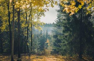 Anlageobjekt in 83022 Rosenheim, Gesuch im Kundenauftrag - Wald & Ackerland zwischen Chiemsee, Rosenheim und München ab 0,5 Hektar