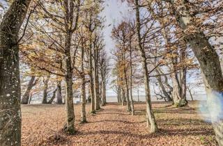 Villa kaufen in 88085 Langenargen, Villa Mauerhof – Exklusives Anwesen direkt am Bodensee
