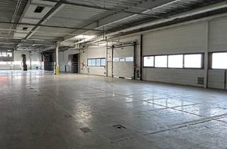 Büro zu mieten in Frankfurter Ring, 80807 Milbertshofen-Am Hart, Produktionshalle am Frankfurter Ring / kleine Teilbarkeit / geringer Büroanteil / WFC