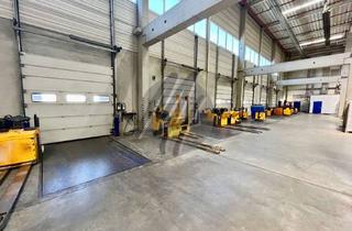 Gewerbeimmobilie mieten in 36289 Friedewald, KEINE PROVISION ✓ 24/7 ✓ Vielseitig nutzbare Lagerflächen (5.000 m²) zu vermieten