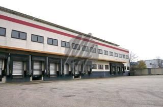 Gewerbeimmobilie mieten in 36289 Friedewald, KEINE PROVISION ✓ 24/7 ✓ Vielseitig nutzbare Lagerflächen (10.700 m²) zu vermieten
