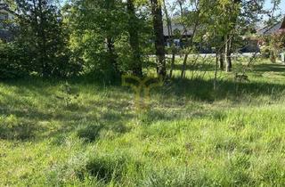 Grundstück zu kaufen in 38524 Sassenburg, Wunderschön gelegenes Grundstück im Ferienhausgebiet Bernsteinsee