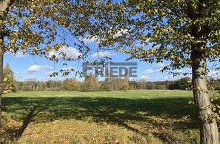 Grundstück zu kaufen in 29553 Bienenbüttel, *Grundstück* Wohnfläche von ca. 2.000 m² möglich!