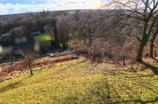 Grundstück zu kaufen in 33189 Schlangen, Sonniges Baugrundstück mit 979m² in Schlangen-Kohlstädt