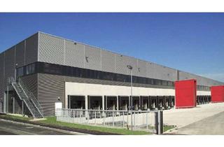 Gewerbeimmobilie mieten in 67685 Weilerbach, Lager- / Logistikfläche - Provisionsfrei