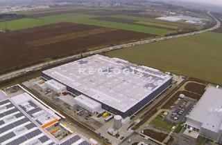 Gewerbeimmobilie mieten in 67269 Grünstadt, Neubau: Lager- / Logistikfläche - Anbindung an die A6