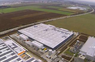Gewerbeimmobilie mieten in 68775 Ketsch, Neubau: Lager- / Logistikfläche - Anbindung an die A6