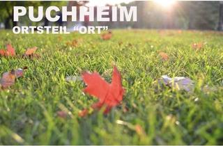 Grundstück zu kaufen in Krautrgartenstrasse 77, 82178 Puchheim, WIESENGRUND / FREIZEITGEUNDSTÜCK