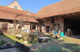 Bauernhaus kaufen in 67735 Mehlbach, Mehlbach - ObjNr:19639 - Vollsanierter ehemaliger Bauernhof mit Nebengebäuden, Ställen und großem Garte