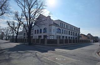 Loft kaufen in 01259 Niedersedlitz, Neuwertige 3-Raum EG-Loftwohnung in Denkmalensemble, ab 01.2026 frei