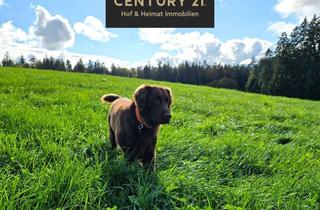 Haus kaufen in 94424 Arnstorf, XXL-Eigenheim in echter Alleinlage: Top-Gelegenheit für Großfamilien und Naturliebhaber!