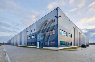 Büro zu mieten in 68519 Viernheim, KEINE PROVISION ✓ NEUBAU ✓ Lager (4.100 m²) & Büro (900 m²) zu vermieten