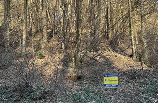 Grundstück zu kaufen in 76887 Bad Bergzabern, Baugelände mit insgesamt 1.390 qm Areal