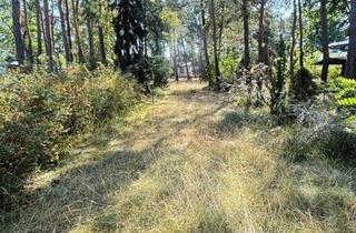 Grundstück zu kaufen in 15838 Am Mellensee, Hervorragendes Baugrundstück in ruhiger Lage