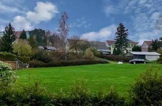 Grundstück zu kaufen in 08541 Neuensalz, Hier will ich Wurzeln schlagen!