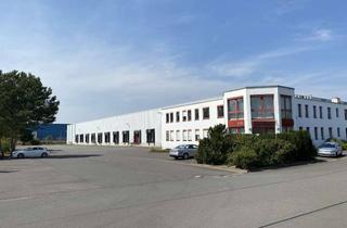 Büro zu mieten in Dammfeld, 39291 Pietzpuhl, Moderne Lager-/Logistikhalle ab 2.875 m² an der A2