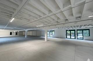 Gewerbeimmobilie mieten in Bahnhofstrasse 24-26, 69245 Bammental, Top Lage an der B45 - Gewerbefläche für kurze Wege und schnelle Anbindungen