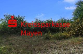 Grundstück zu kaufen in 56727 Mayen, Schönes vollerschlossenes Baugrundstück in Mayen, Am Heckenberg