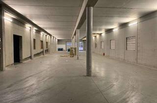Gewerbeimmobilie mieten in 55270 Sörgenloch, Großzügige Halle zu vermieten