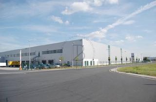 Gewerbeimmobilie mieten in 76297 Stutensee, "BAUMÜLLER AG" - ca. 20.000 m² Hallenfläche - gute Anbindung