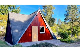 Haus mieten in Birkenallee, 17094 Cammin, Bungalow - Ferienhaus - direkte Seelage Mecklenburg-Vorpommern