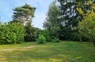 Grundstück zu kaufen in Cevennenstraße 39, 13127 Französisch Buchholz (Pankow), Familien - IDEAL gelegenes Baugrundstück in Französisch-Buchholz!!