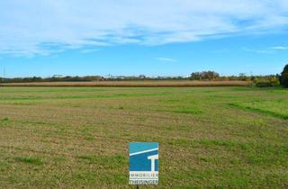 Grundstück zu kaufen in 85129 Oberdolling, Baugrundstück in Oberdolling – ideal für ein Einfamilienhaus Keine Hanglage!