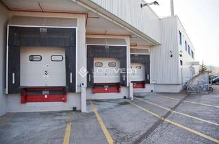 Büro zu mieten in 82024 Taufkirchen, Halle mit Büro nähe der Autobahn!