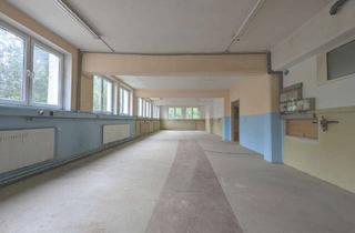 Gewerbeimmobilie mieten in 86971 Peiting, GROßZÜGIGE, BEHEIZBARE FLÄCHEN, FLEXIBEL GESTALTBAR - IDEAL FÜR PRODUKTION, LAGER O.Ä.