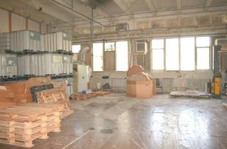 Gewerbeimmobilie mieten in 02994 Bernsdorf, Lagerhalle auch teilweise zu mieten