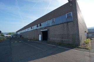 Gewerbeimmobilie mieten in 34346 Hann. Münden, Hallenfläche / Lagerflächen mit guter Verkehrsanbindung